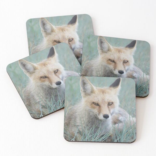 Item preview, Fox designed and sold by Betsy Seeton.