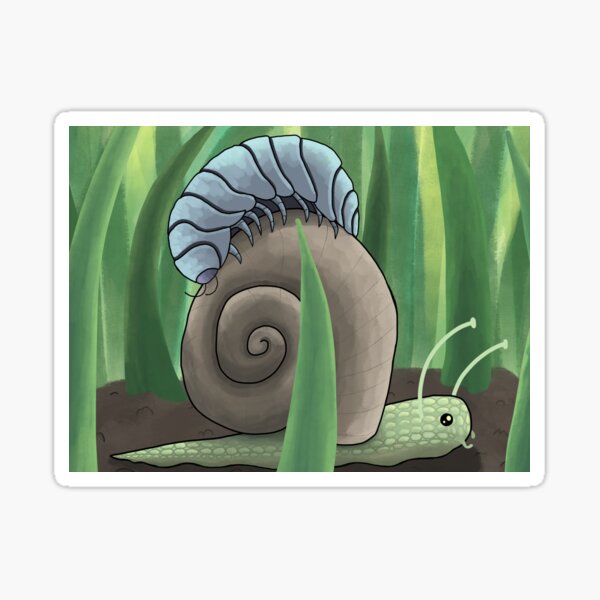 Cute Snail And Rolly Pollie Sticker For Sale By Pocketurtle Redbubble