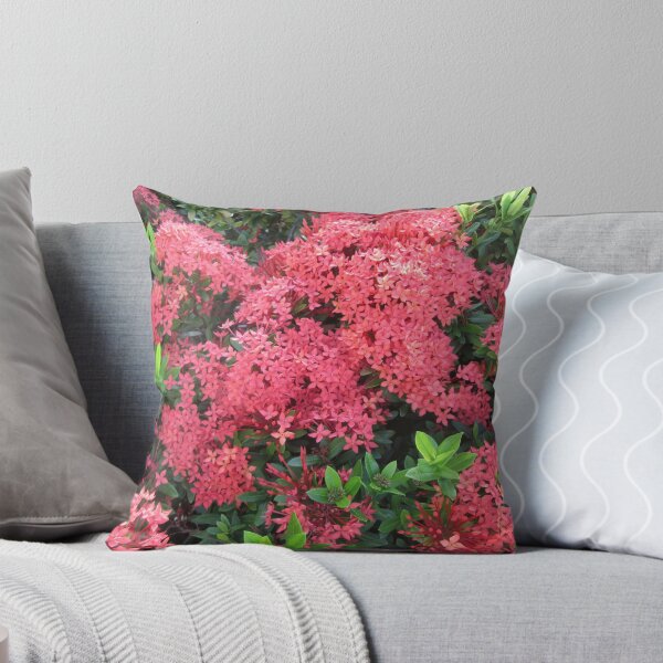 Aperçu de l'œuvre Red Ixora Flower Cluster créée et vendue par dww25921.
