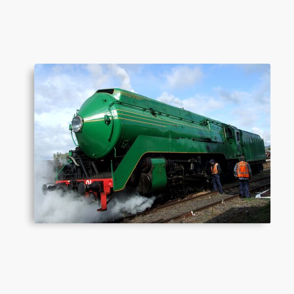 3801 in Coota Canvas Print