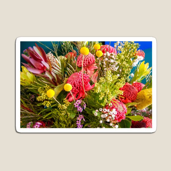 Amazing Australian native flowers Magnet
