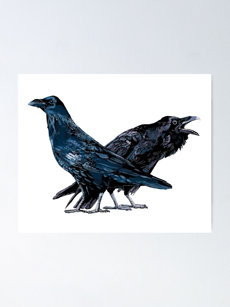 : King of the Corvids for Fans of Crows and Ravens Tank Top :  Clothing, Shoes & Jewelry