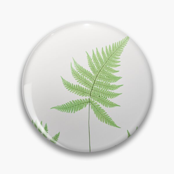 Item preview, Northern beech fern - Botanical Illustration designed and sold by chimakingthings.
