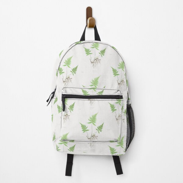 Item preview, Northern beech fern - Botanical Illustration designed and sold by chimakingthings.