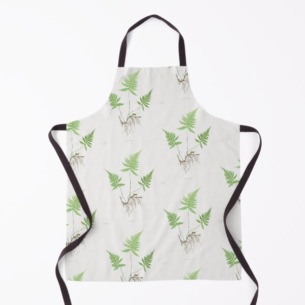 Item preview, Northern beech fern - Botanical Illustration designed and sold by chimakingthings.