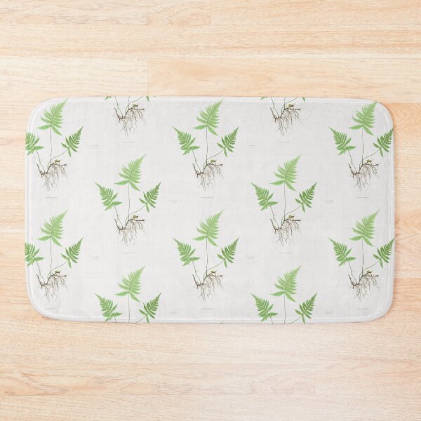 Item preview, Northern beech fern - Botanical Illustration designed and sold by chimakingthings.