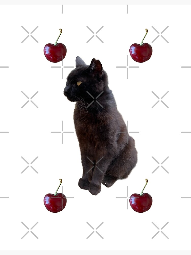 Disover The black cat and cherries Premium Matte Vertical Poster