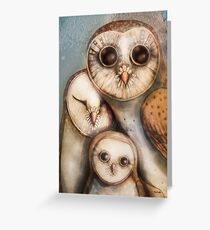 three wise owls Greeting Card