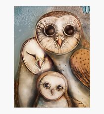 Baby Barn Owls Gifts Merchandise Redbubble