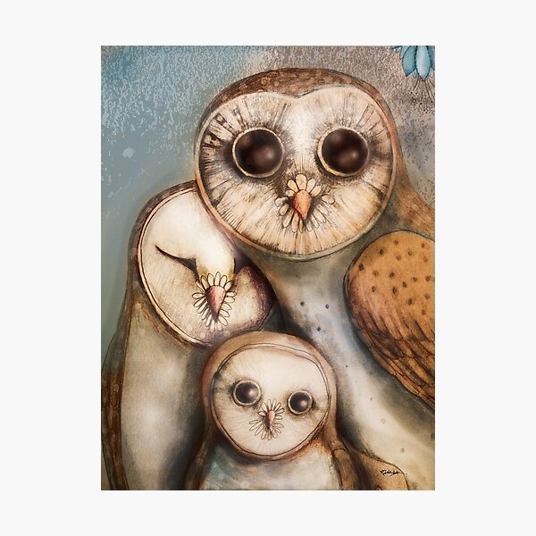 three wise owls Photographic Print