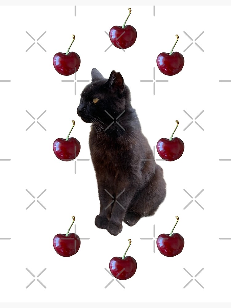 Discover The Black Cat - cherries Premium Matte Vertical Poster
