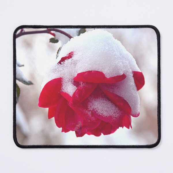 Item preview, Snowy Rose designed and sold by LisaWootenPhoto.