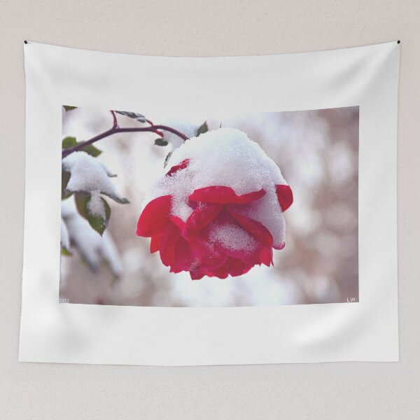 Item preview, Snowy Rose designed and sold by LisaWootenPhoto.