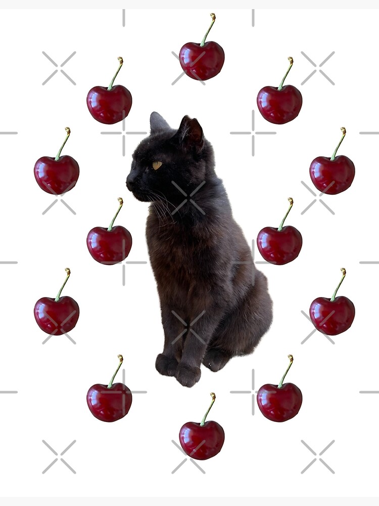 Discover The black cat - cherries Premium Matte Vertical Poster