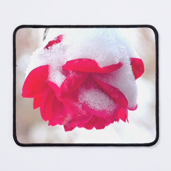 Item preview, Snowy Rose Vertical designed and sold by LisaWootenPhoto.
