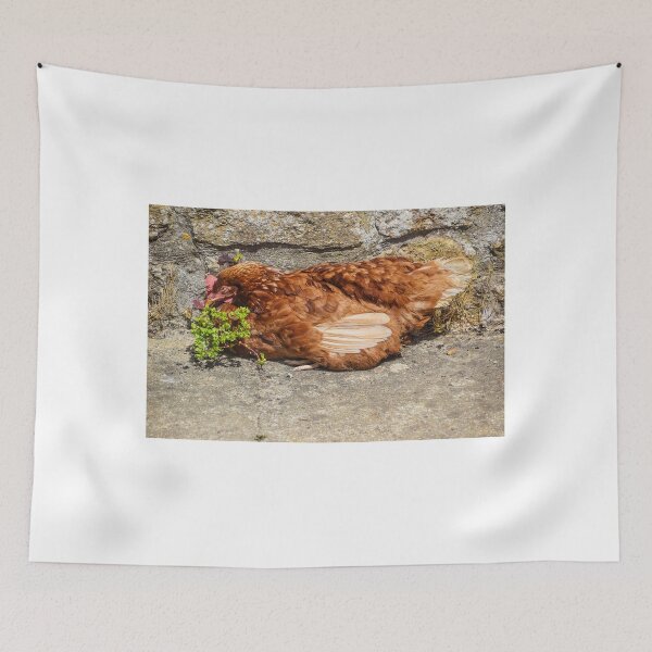 Item preview, Sleepy Chicken............Dorset UK  designed and sold by lynn carter.