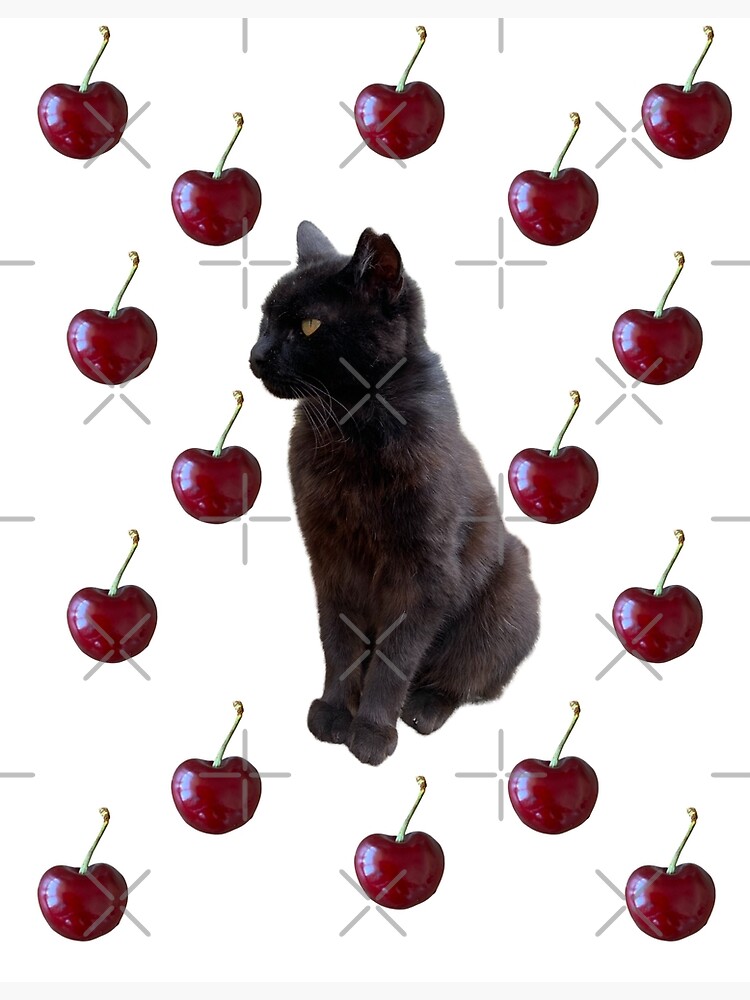 Discover The Black Cat - cherries Premium Matte Vertical Poster