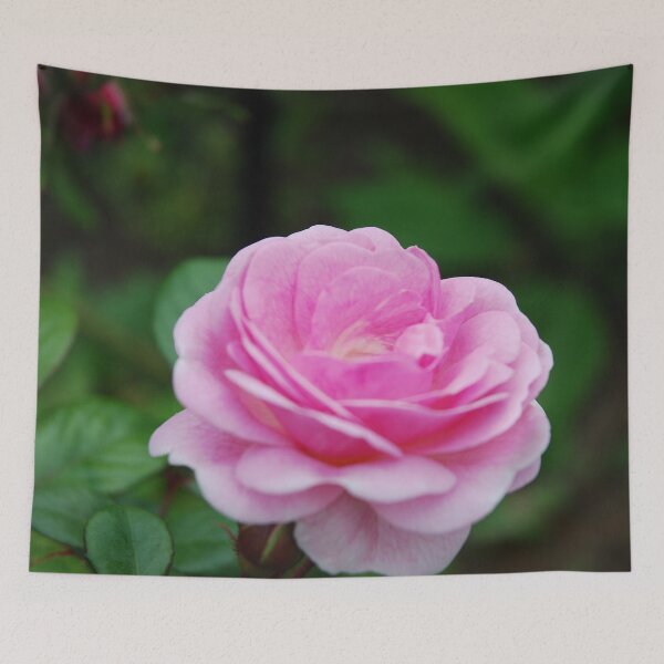 Item preview, Layers of Soft Pink Petals designed and sold by lizdomett.