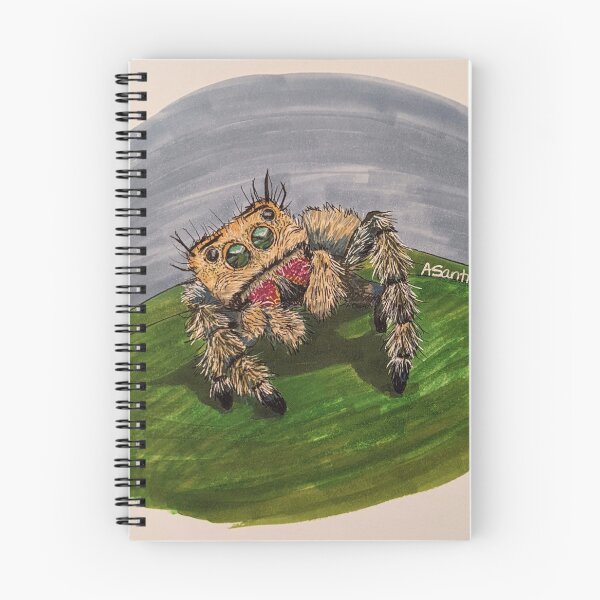 Item preview, Jumpy spider  designed and sold by SantiagoArt27.