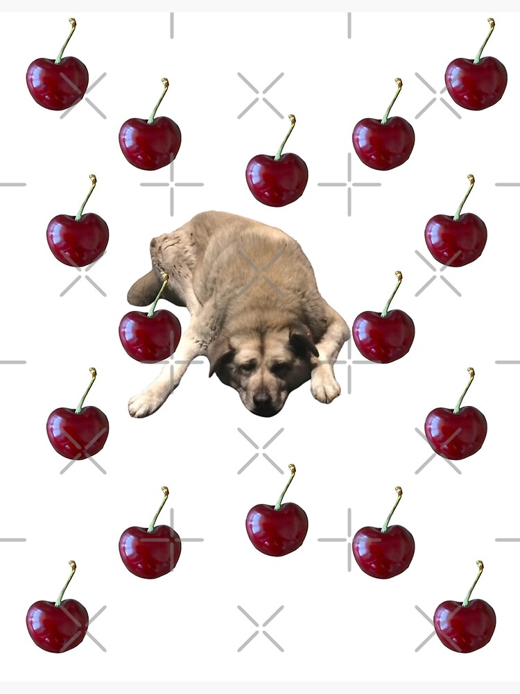 Discover The Dog - cherries Premium Matte Vertical Poster