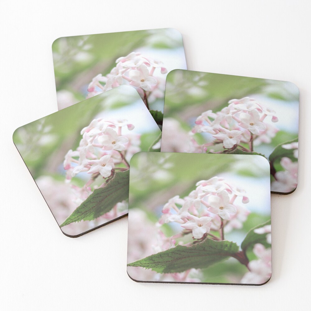 Item preview, Coasters (Set of 4) designed and sold by pocketurtle.