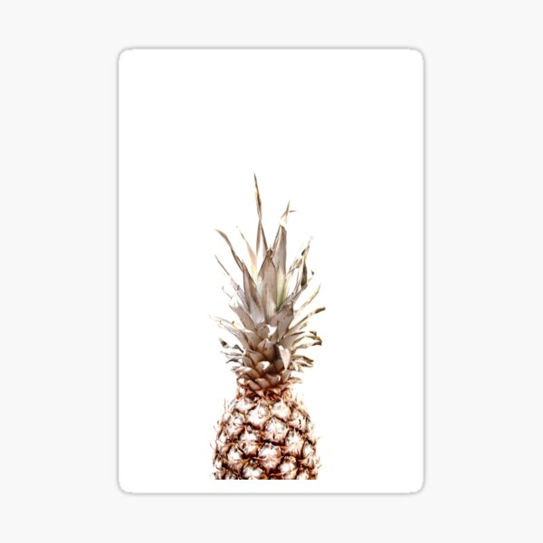 Ananas Sticker