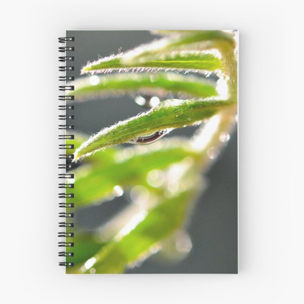 Item preview, Dew on a leaf photography designed and sold by NutsnGum.
