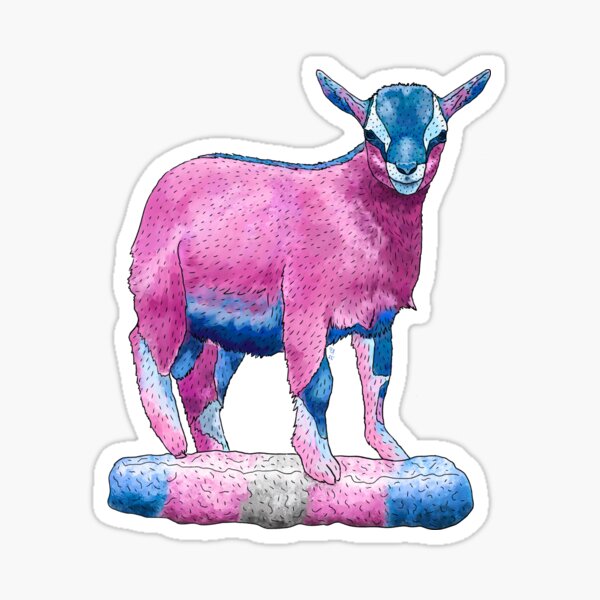 Vista previa del artículo con la obra «Cabra bebé transgénero Orgullo trans», diseñado y vendido por kylepeterart.