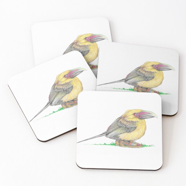 Item preview, Saffron Toucanet in Huaraches designed and sold by JimsBirds.