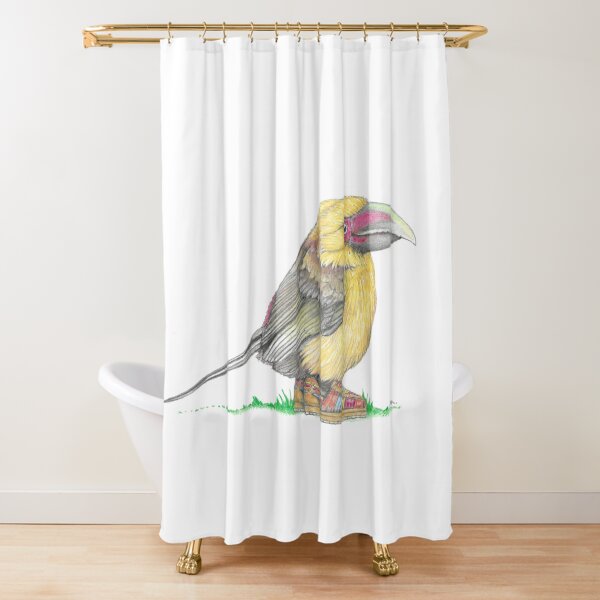 Item preview, Saffron Toucanet in Huaraches designed and sold by JimsBirds.