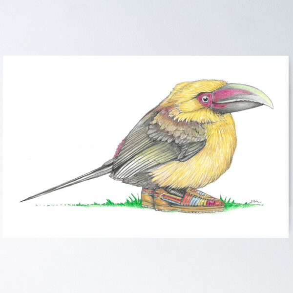 Item preview, Saffron Toucanet in Huaraches designed and sold by JimsBirds.