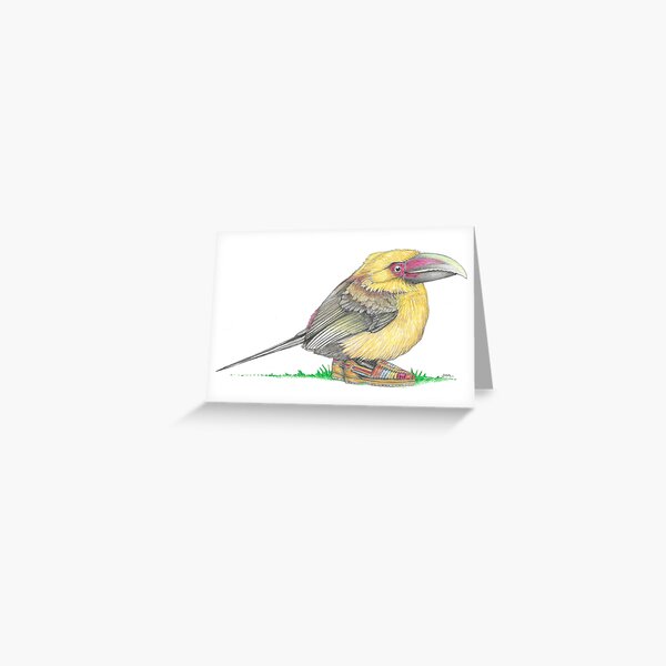 Item preview, Saffron Toucanet in Huaraches designed and sold by JimsBirds.