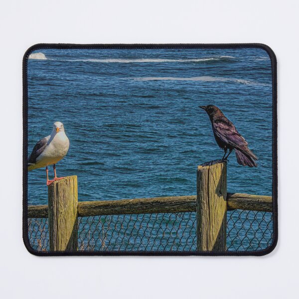 Item preview, Locals vs Tourists designed and sold by Steve Walser.