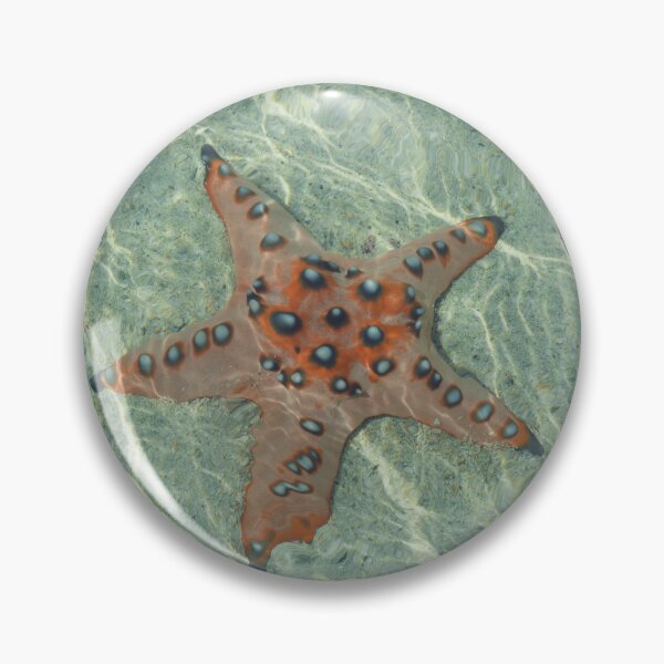 Item preview, Orange Starfish designed and sold by antevasinart.