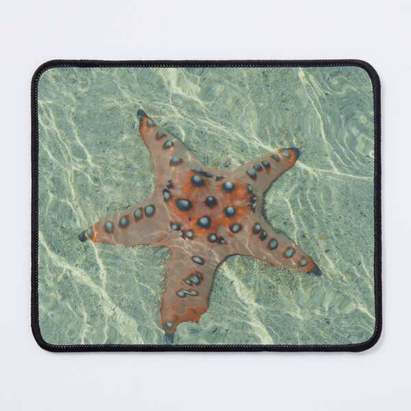 Item preview, Orange Starfish designed and sold by antevasinart.