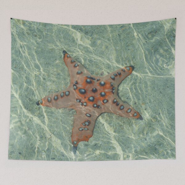 Item preview, Orange Starfish designed and sold by antevasinart.