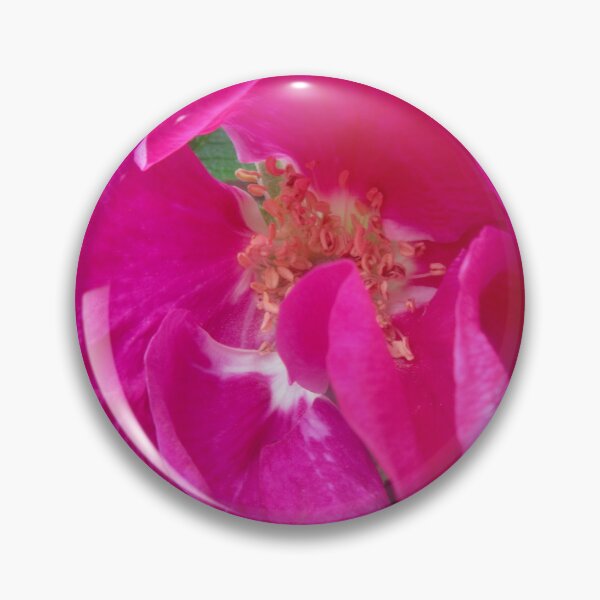 Item preview, Pink Rose designed and sold by Shulie1.