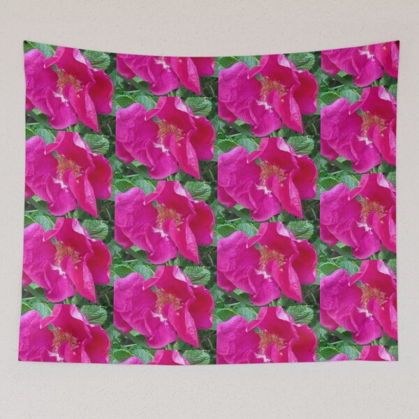 Item preview, Pink Rose designed and sold by Shulie1.