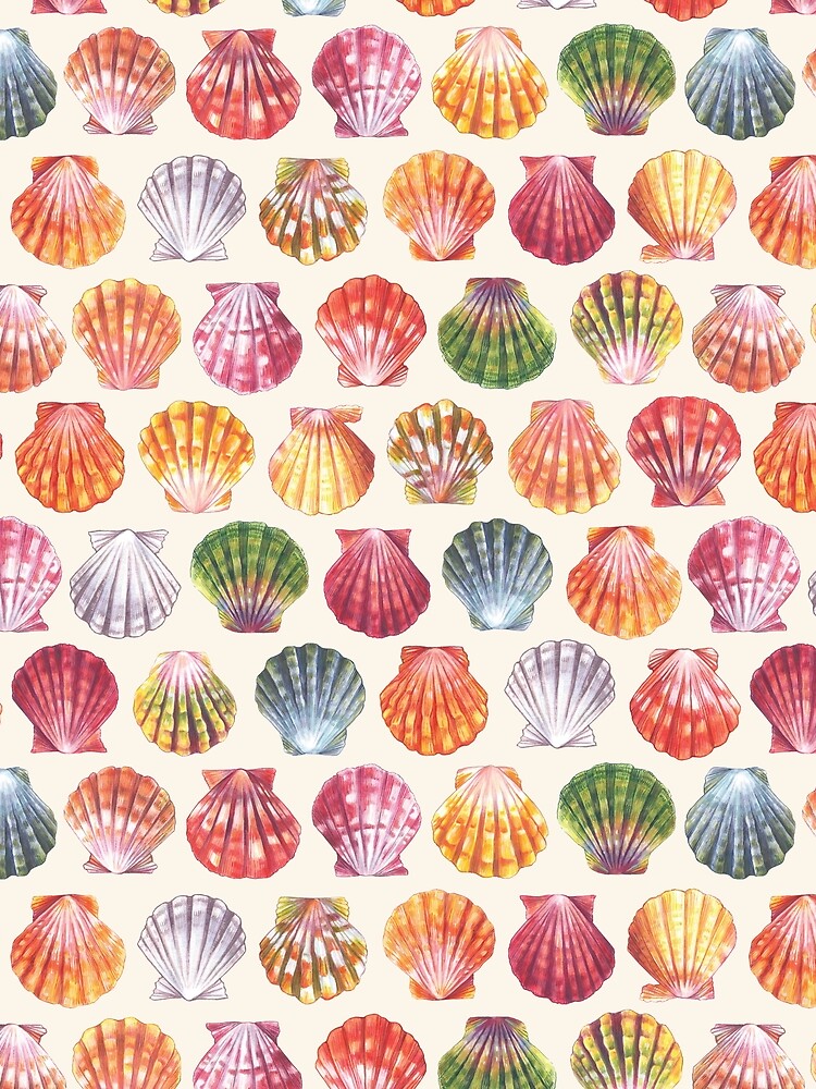 Hawaiian Sunrise Shell Pattern - Cream by softbiology