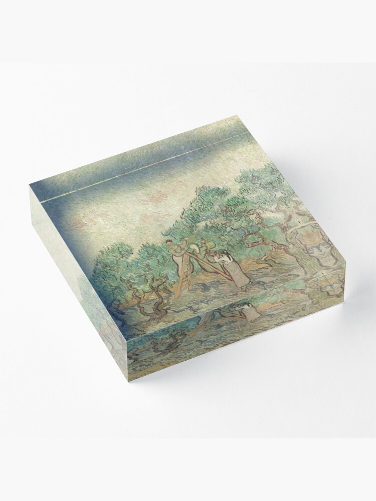 Alternate view of The Olive Orchard by Vincent van Gogh - Classic Art Acrylic Block