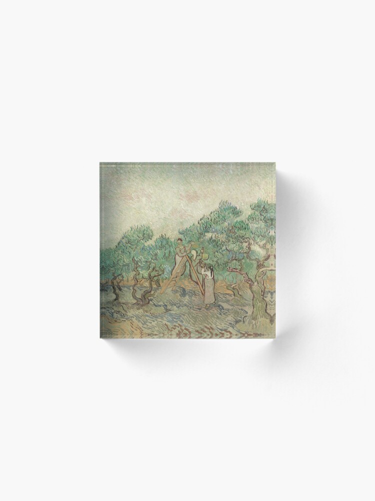 Alternate view of The Olive Orchard by Vincent van Gogh - Classic Art Acrylic Block