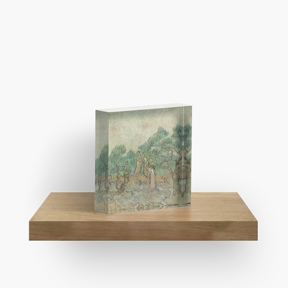 The Olive Orchard by Vincent van Gogh - Classic Art Acrylic Block