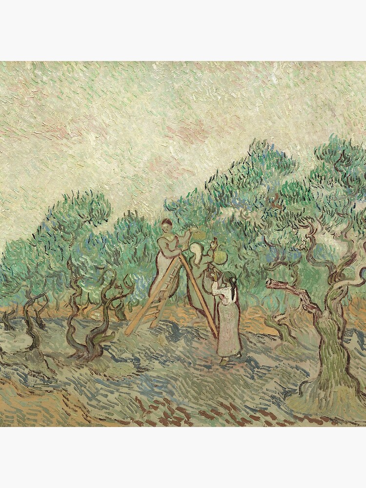 The Olive Orchard by Vincent van Gogh - Classic Art by podartist