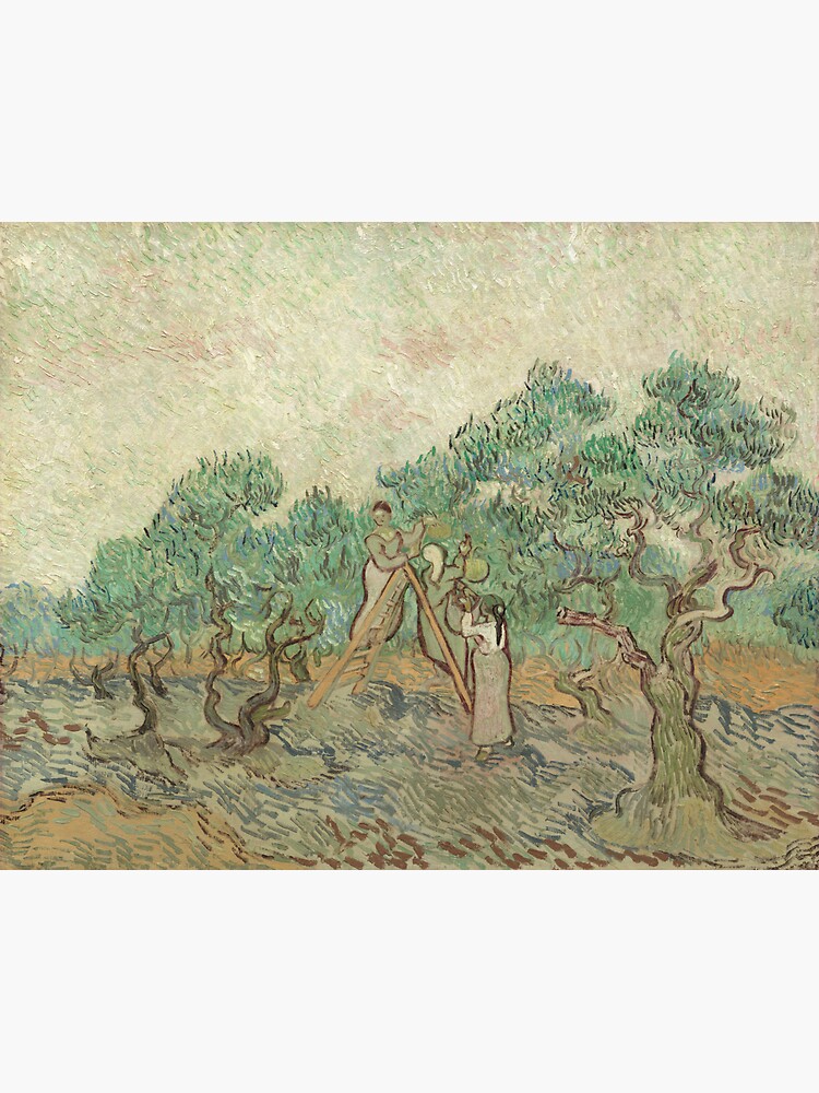 The Olive Orchard by Vincent van Gogh - Classic Art by podartist