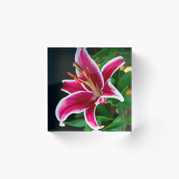 Item preview, Lily pink designed and sold by Olga Atayero.