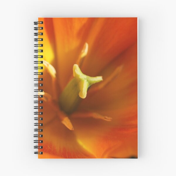 Item preview, Inside a Tulip designed and sold by cuprum.