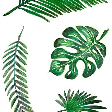 Artwork thumbnail, Leaf Set by kopfabhase
