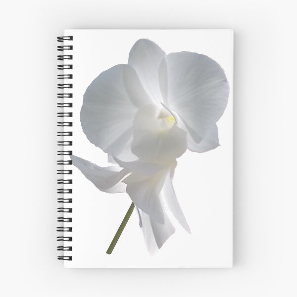 Item preview, Pure White Orchid designed and sold by DAdeSimone.