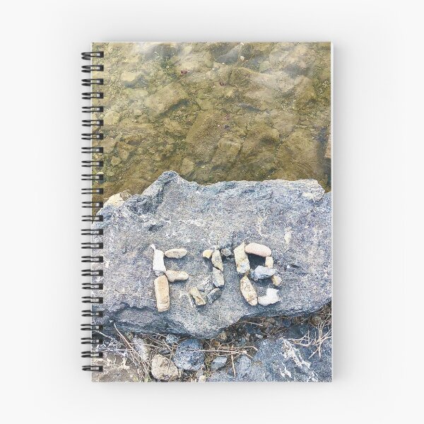 Aperçu de l'œuvre FJB EN PIERRE créée et vendue par Saltypro.