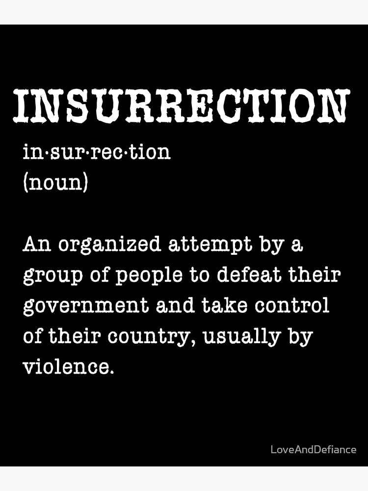 What does insurrection mean discount
